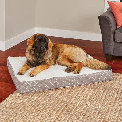 Hillis Quiet Time Dog Pad Tucker Murphy™ Pet Color: Mushroom, Size: Small (40" W x 29" D x 3.5" H) | Wayfair North America
