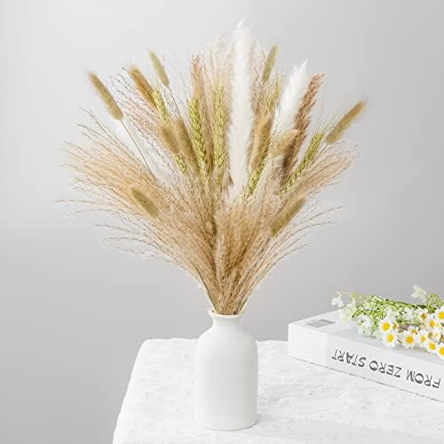 Amazon.com: Pampas Grass - 80 Pcs Dried Pampas Grass Decor Tall 17 inch -Natural White & Brown Pa... | Amazon (US)