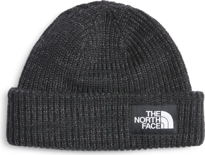 Salty Dog Beanie | Nordstrom