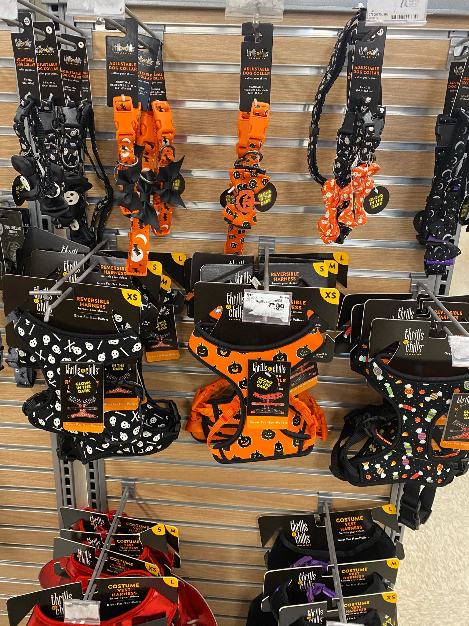 New Halloween pet items! #halloween #puppy #spooky

#LTKunder50 #LTKunder100 #LTKSeasonal