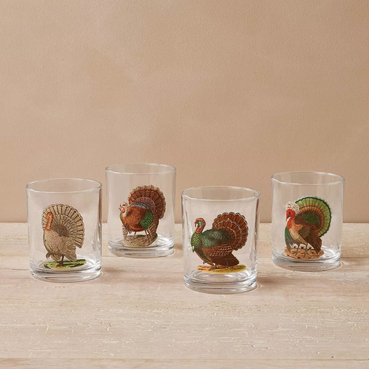4pc Assorted Fall Turkey Cocktail Glasses - John Derian for Target | Target