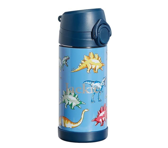 Mackenzie Blue Multi Dinos Water Bottles | Pottery Barn Kids