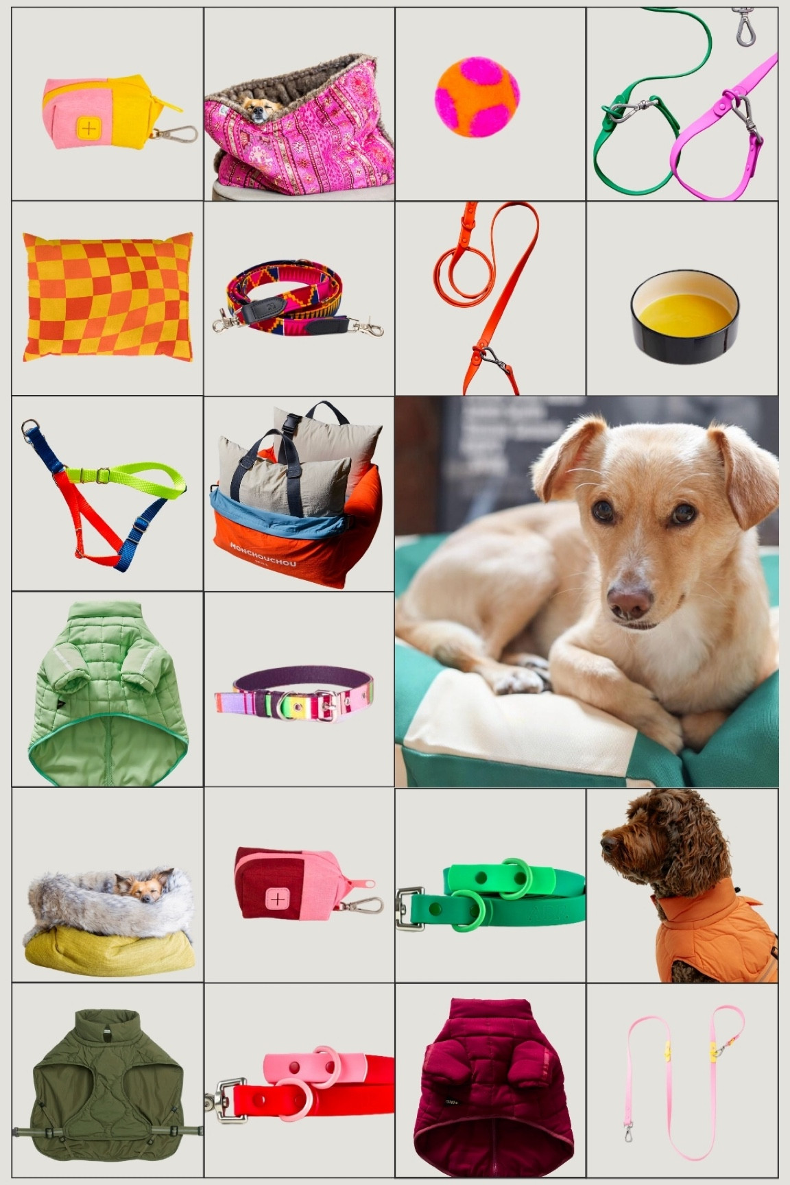 Colourful dog accessories, pet beds, bright dog collars, clothes and food bowls. 

#LTKeurope #LTKhome