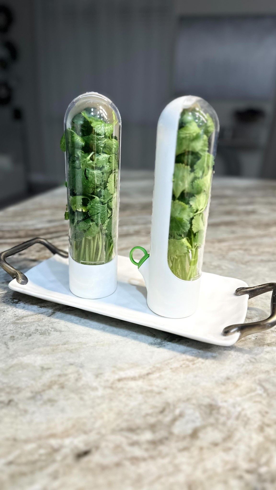 “Fresh herbs, fresh meals! 🌿✨ I’m absolutely loving this herb keeper container—it’s a total game changer! 🥰 It keeps my cilantro, parsley, and basil fresh for over a week (yes, really!). The adjustable vent and water reservoir are pure genius, making wilted herbs a thing of the past. 🙌 Plus, it’s compact and fits perfectly in my fridge.

If you cook with fresh herbs regularly, you NEED this in your kitchen! 🌟 Highly recommend it for all my fellow foodies. 🥗💚

#sheinofficial #shein #sheinfavorites #sheinkitchen #sheinkitchenfinds 

https://onelink.shein.com/10/4jbz0jaq4zw8

#LTKHome #LTKWatchNow #LTKFindsUnder50