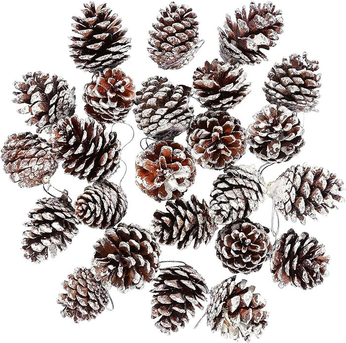 Cooraby 24 Pieces Christmas Pine Cones Ornament Natural Pinecones with String Pendant Crafts for ... | Amazon (US)