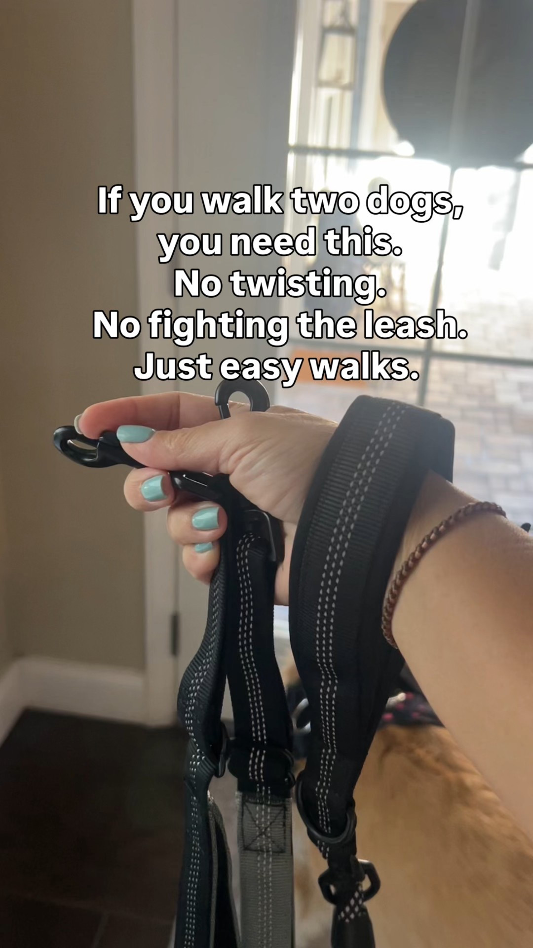 A must have if you walk two dogs at a time. Also the best dog harness and the only one you’ll ever need. #pets #amazonpets

#LTKFindsUnder50 #LTKdayinmylife