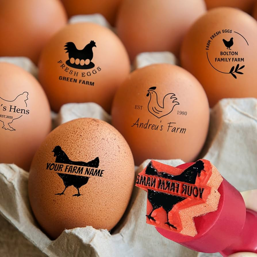 Egg Stamps for Fresh Eggs Personalized Chicken Egg Stamp with Unique Designs Custom Egg Marking f... | Amazon (US)