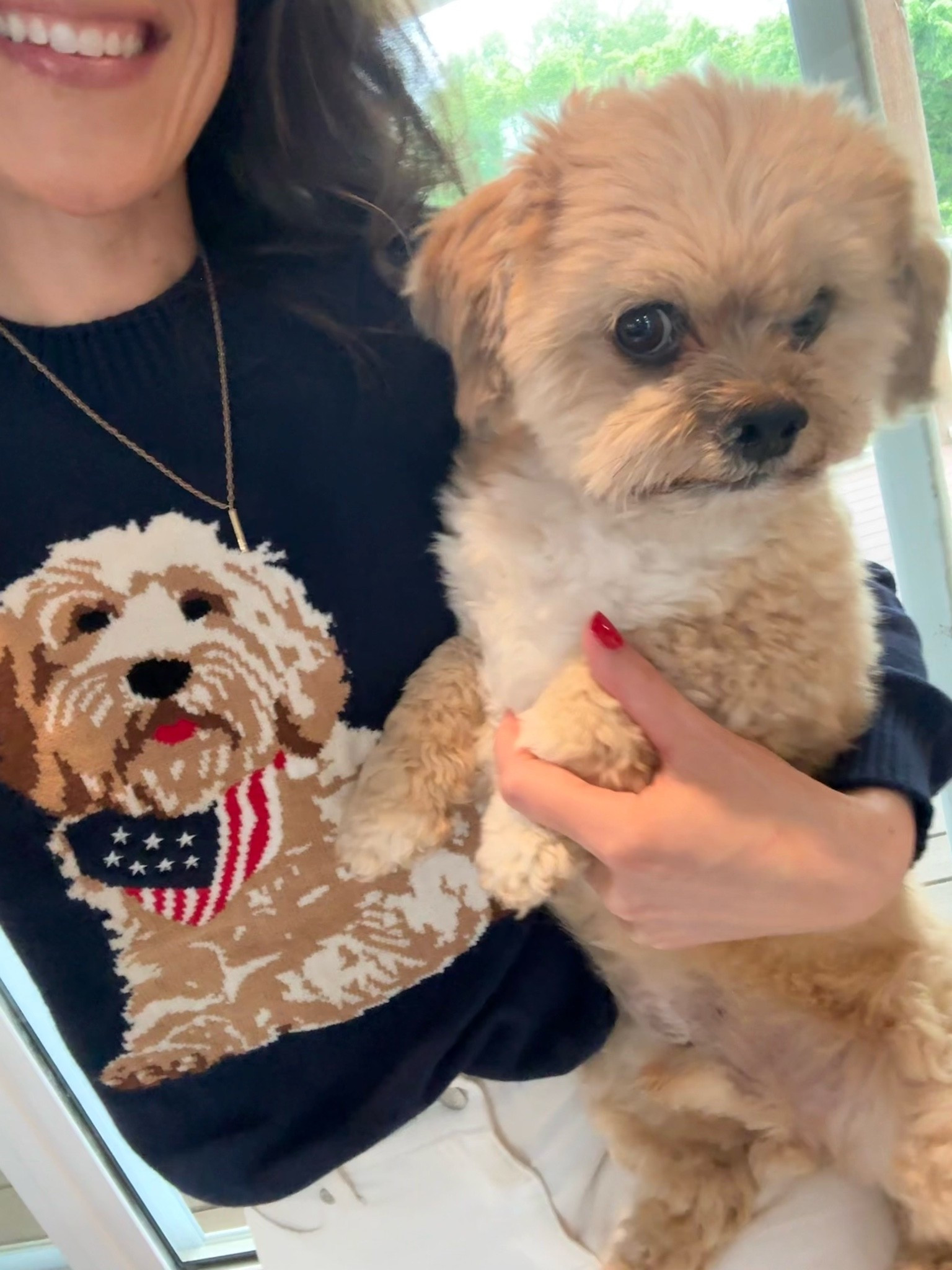 I could not resist this adorable dog sweater!

#LTKdayinmylife #LTKgrwm #LTKSeasonal