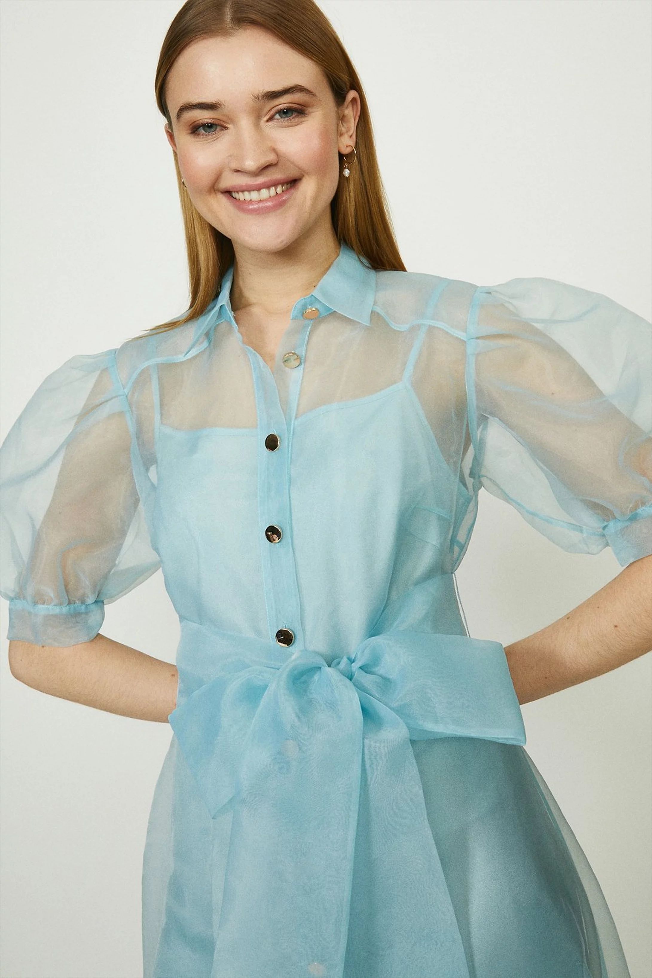 Organza Puff Sleeve Dress | Coast (UK)