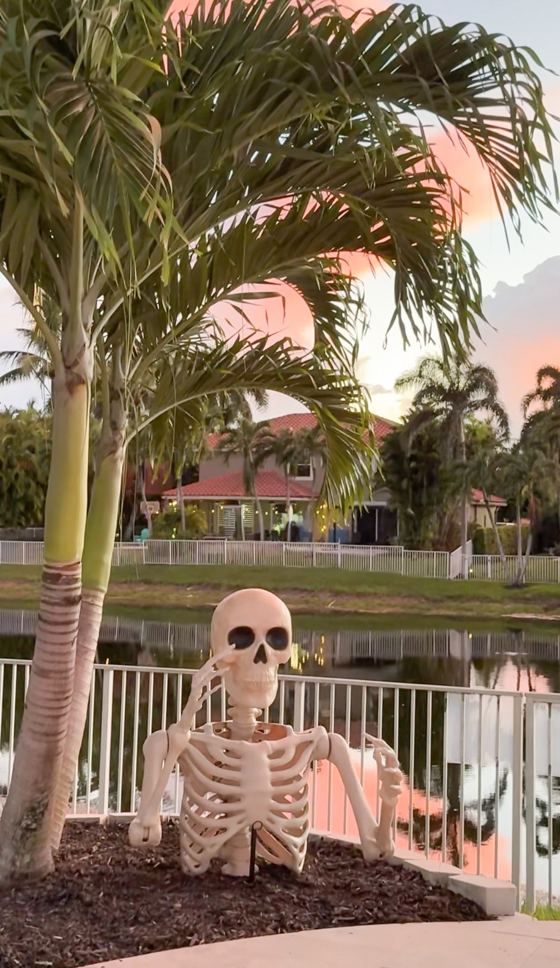 The Walmart groundbreaker skeleton is back!

#LTKmomlife #LTKHome #LTKSeasonal
