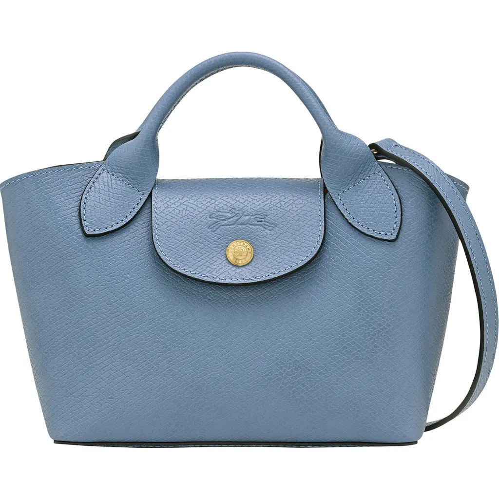 Longchamp Extra Small Épure Tote Bag in Slate at Nordstrom | Nordstrom