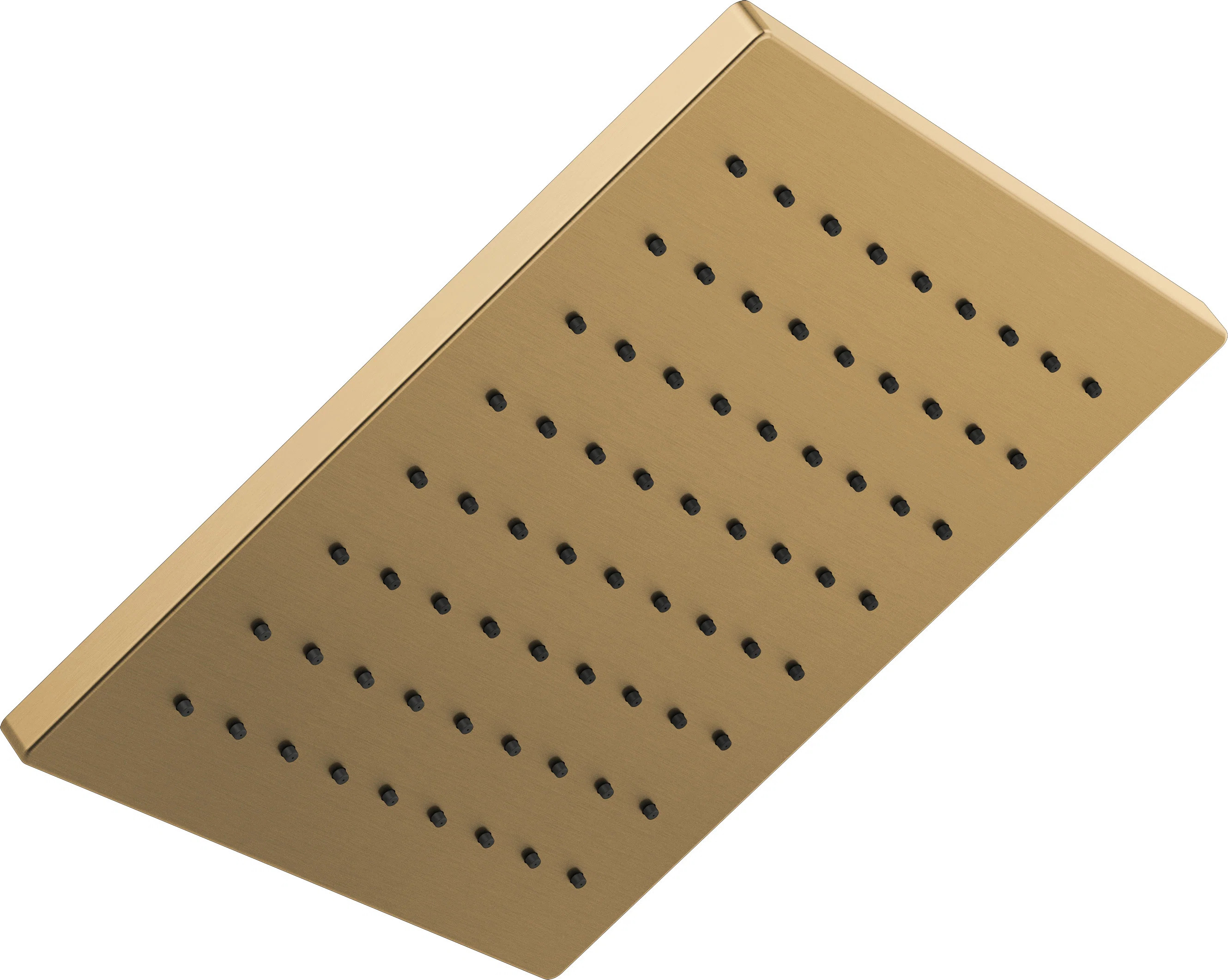 Delta Rain Adjustable Shower Head & Reviews | Wayfair | Wayfair North America