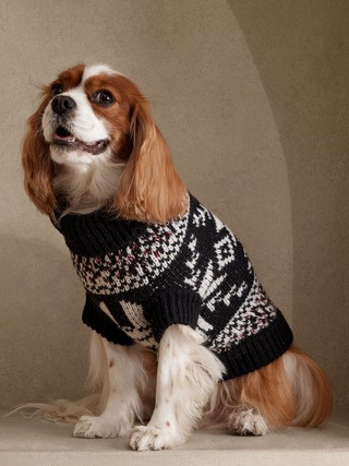 Rafa Fair Isle Dog Sweater | Banana Republic (US)