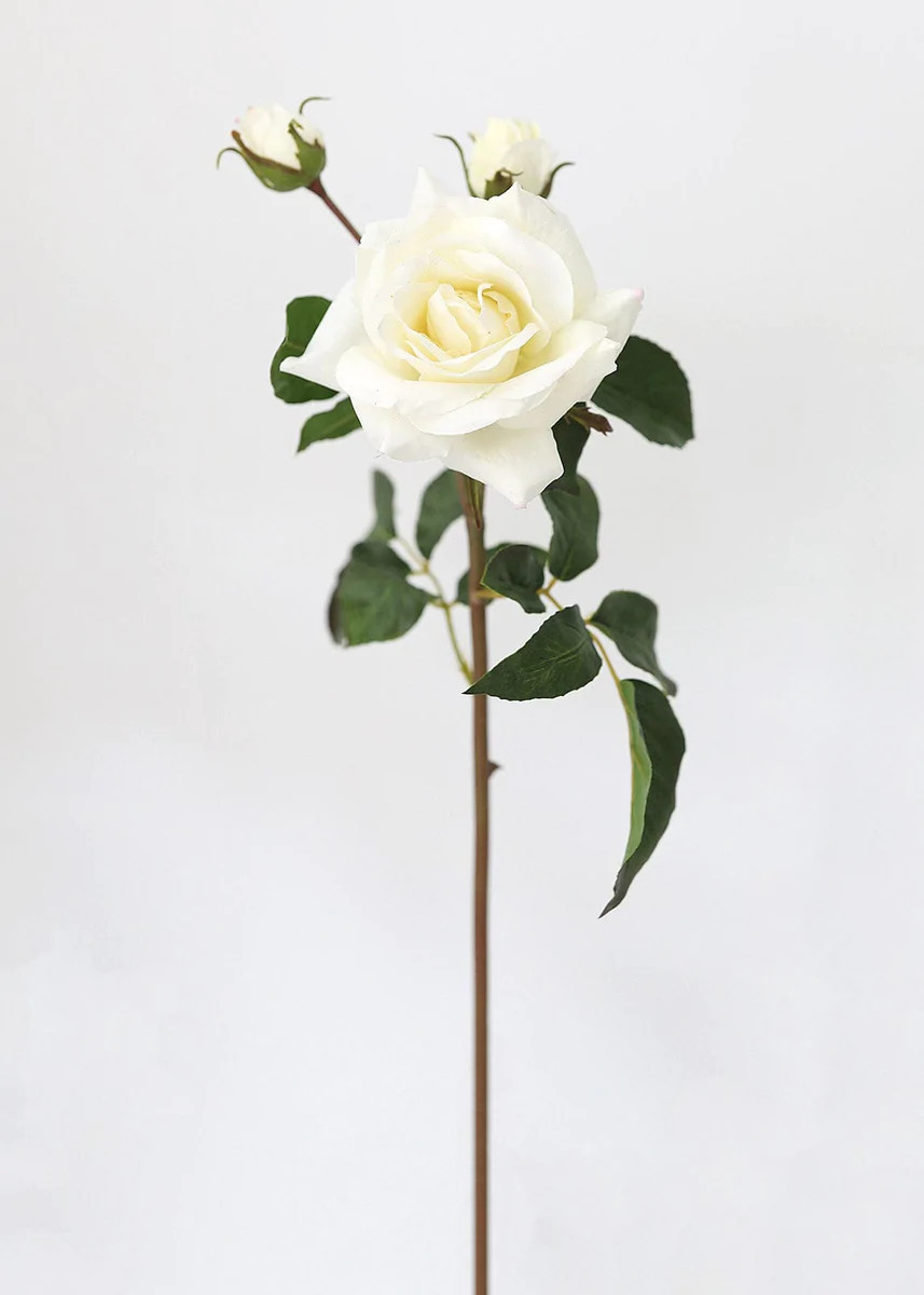 Real Touch Juliet Rose in Cream - 22" | Afloral