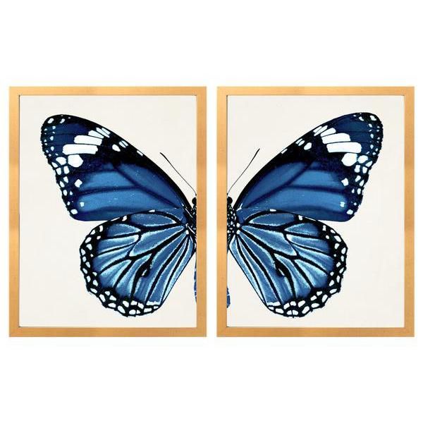 Split Blue Monarch Butterfly | Caitlin Wilson Design