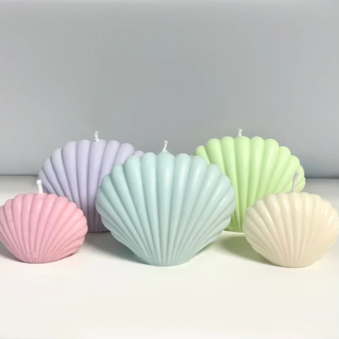 Seashell Candles Modern Interior Design Home Decor Minimal - Etsy | Etsy (US)