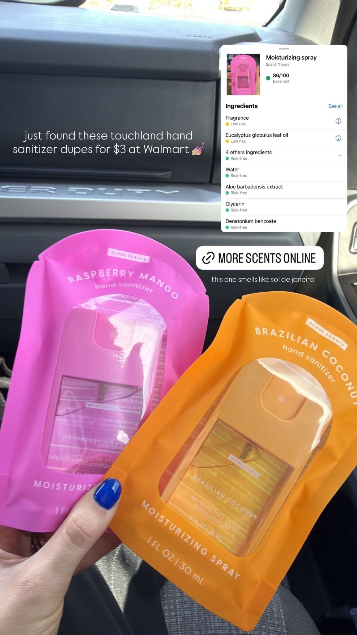 Touch land hand sanitizer D U P E 🦠💖 

#LTKGiftGuide