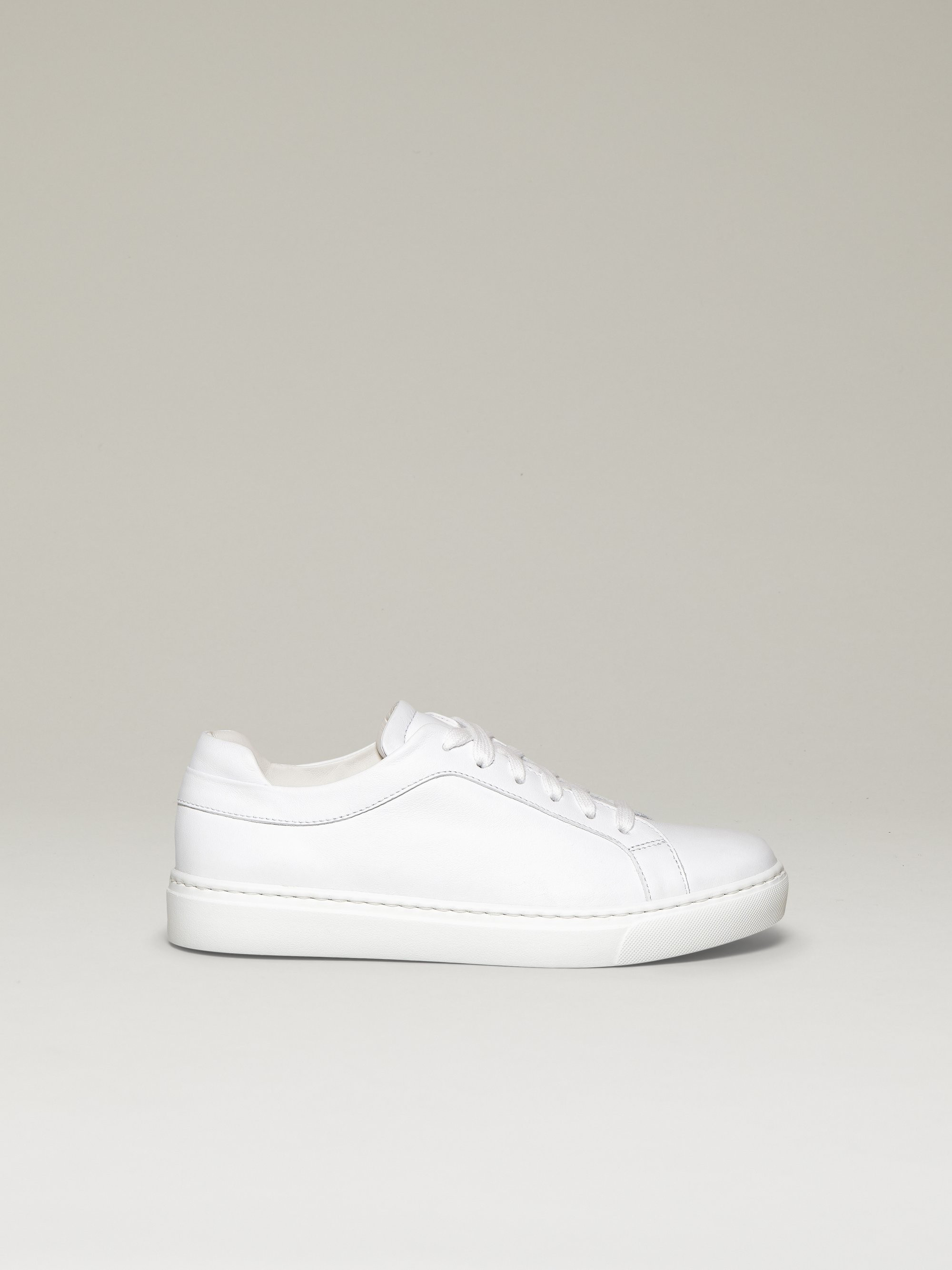 The Palestra Due | M.GEMI