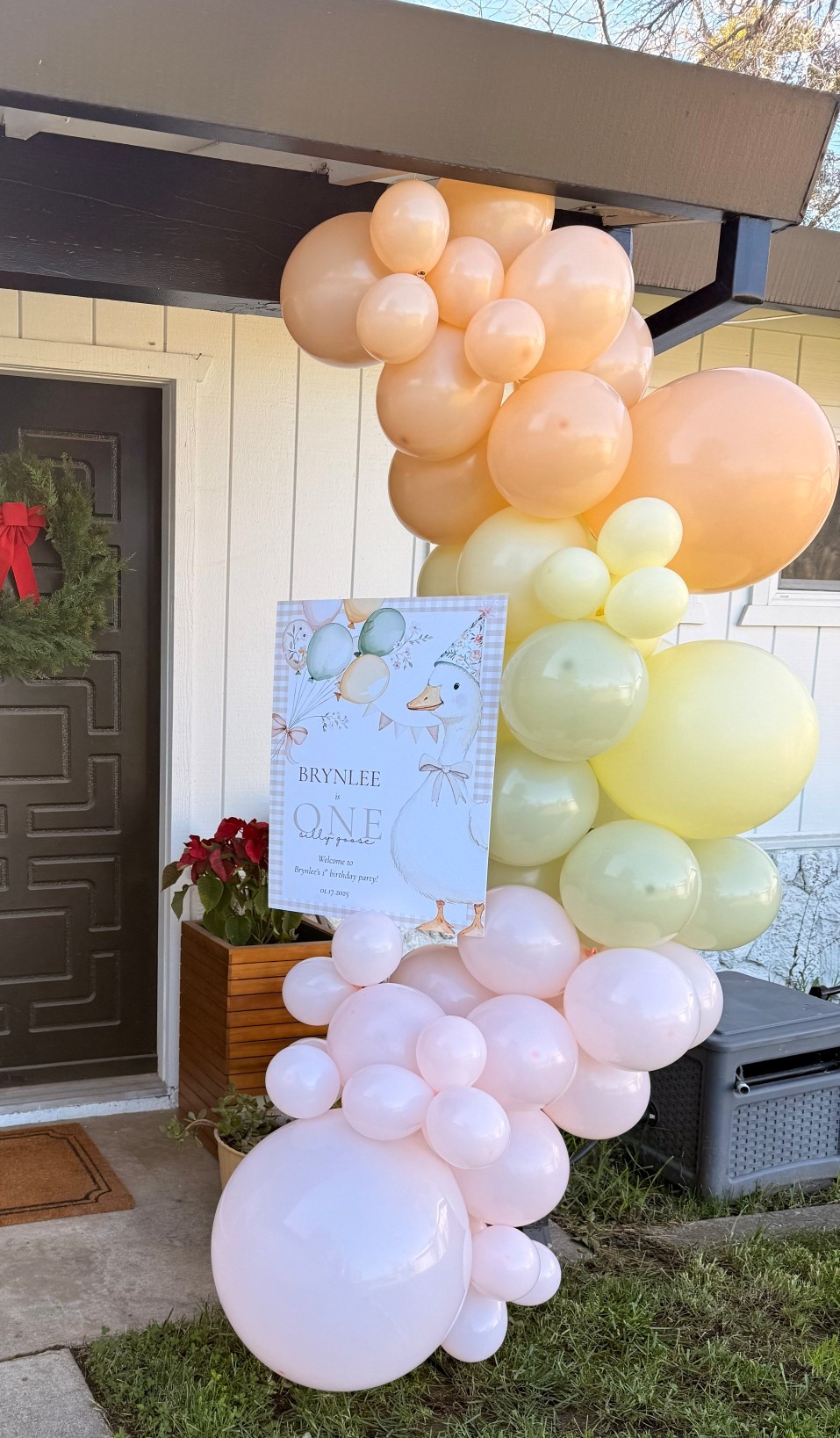 ONE Silly Goose
First birthday party Party
Welcome sign 
Balloon arch 

#LTKKids #LTKBaby #LTKmomlife
