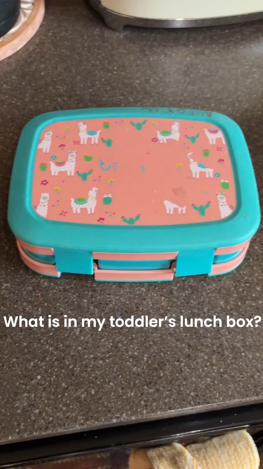 What’s in my 3 year old’s lunch box today??? Managed to whip this together before school this morning. I actually made (healthy - ish) cookies from scratch. And yes she likes olives 🫒 🙈😂

#LTKdayinmylife #LTKKids #LTKmomlife