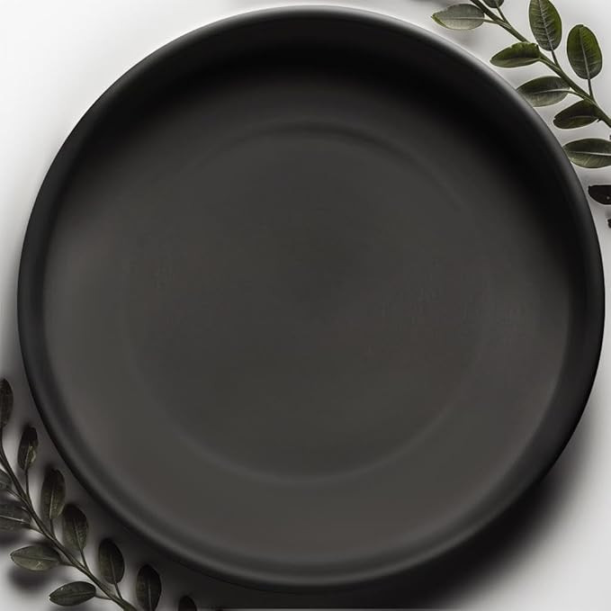 Willowy 12 Inch Black Ceramic Pot Saucer - Drainage Tray for 9, 10, 11 Inch Planters + More Sizes | Amazon (US)