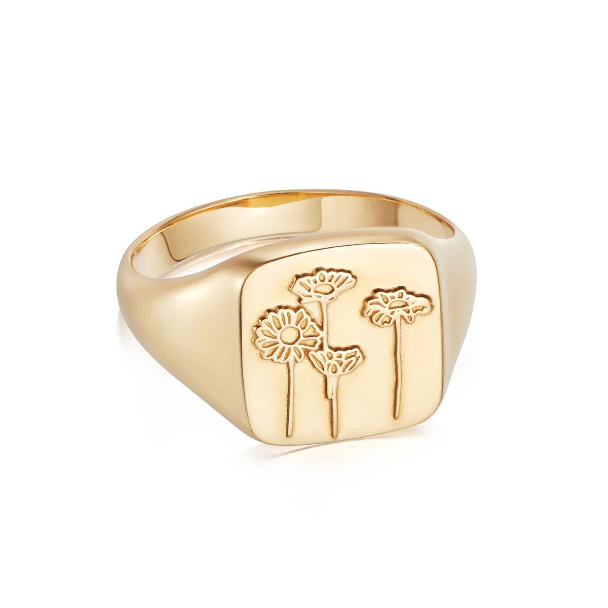 Wild Daisies Signet Ring 18ct Gold Plate | Daisy London Jewellery