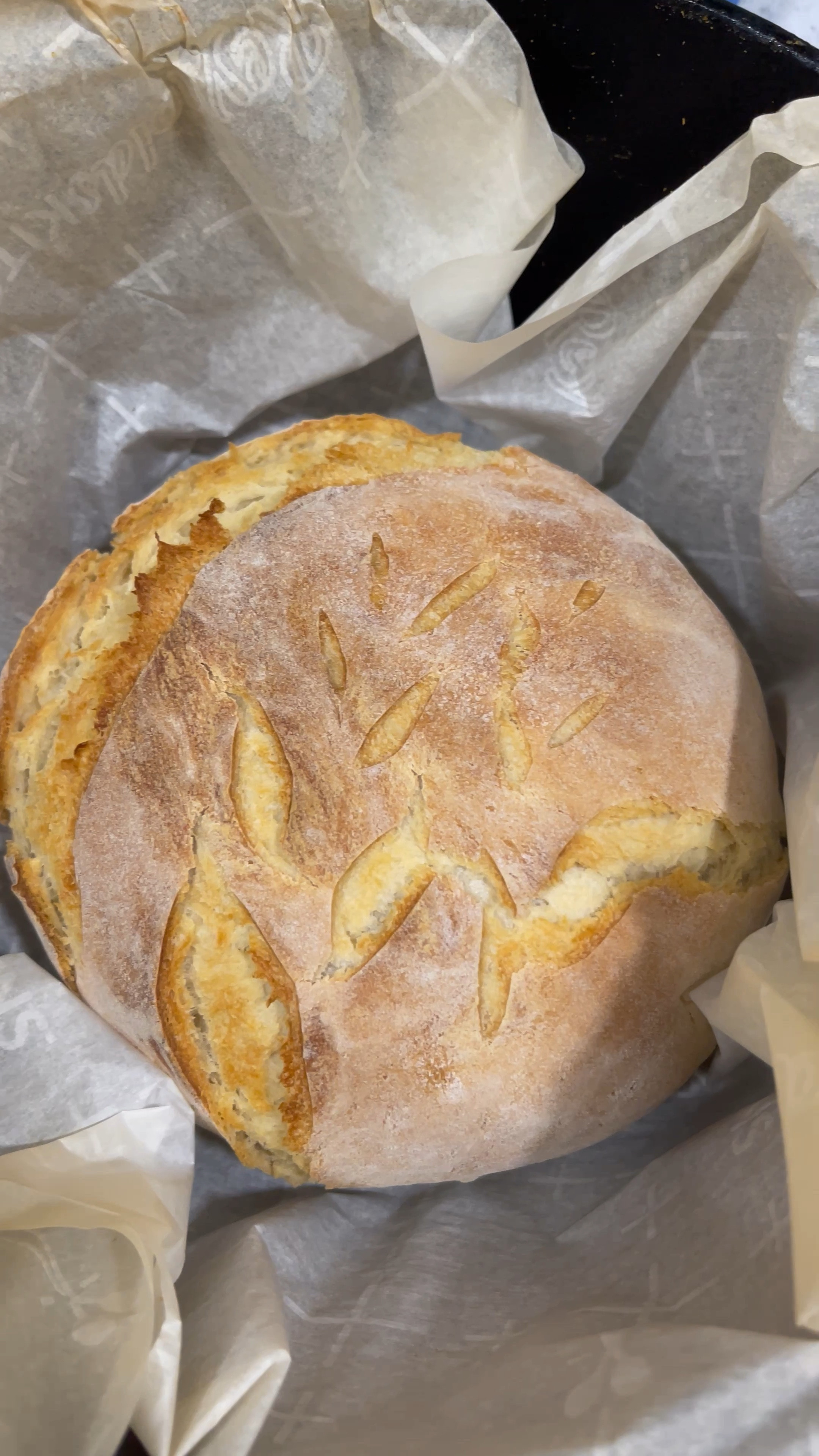 Homemade artisan bread in the Dutch oven 🥰💕 

Amazon home, amazon kitchen, baking, kitchen essentials, baking essentials, homemade bread, homemaking, cast iron 

#LTKhome #LTKFind #LTKunder50