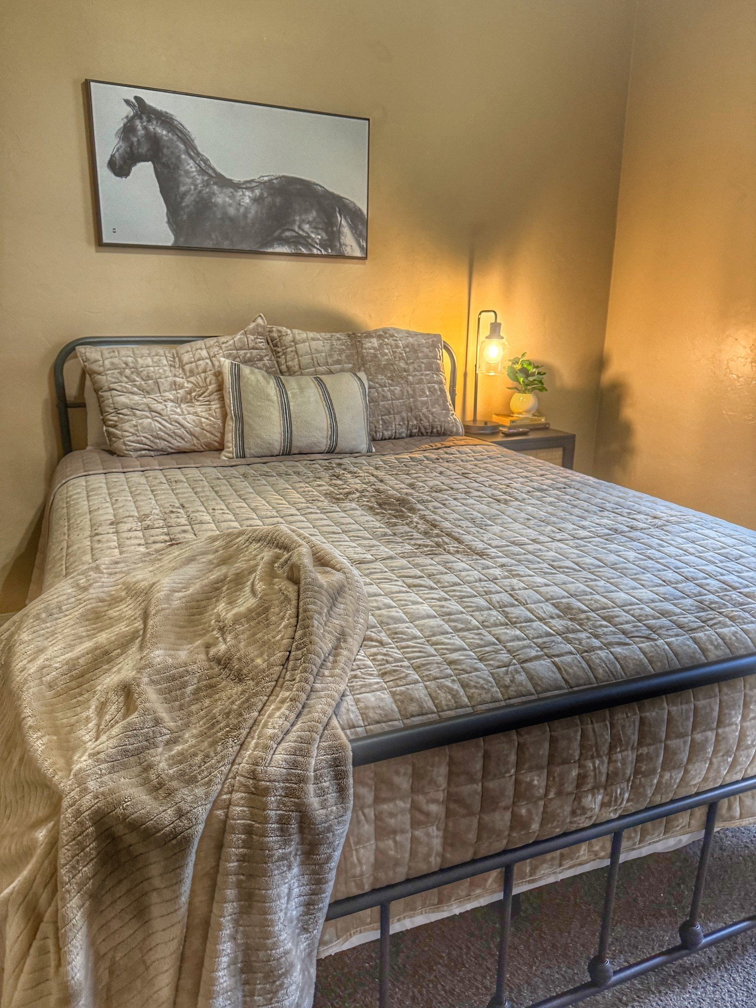 I have used this velvet quilted comforter so many times in multiple colors!!!  Easy bedroom elevation!Comfort & Style! Also, Love this black bed frame!  Great price point. Add a throw for layered style🖤

#LTKFamily #LTKFindsUnder100 #LTKHome