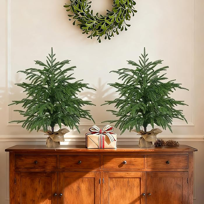 2 Pack 2FT Artificial Norfolk Pine Tree with Pot - UV Protection Faux Tree Fake Plants with PE Br... | Amazon (US)