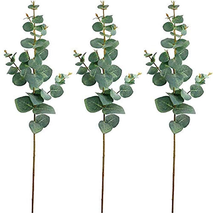 Supla 3 Pcs Faux Silver Dollar Eucalyptus Leaves Spray Baby Eucalyptus in Green 26" Tall for Artific | Amazon (US)