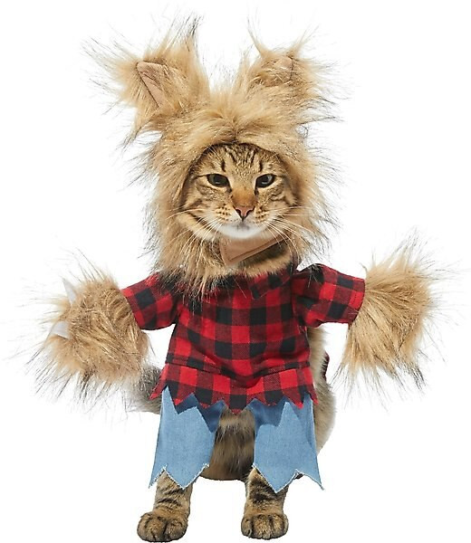 Frisco Front Walking Werewolf Dog & Cat Costume | Chewy.com