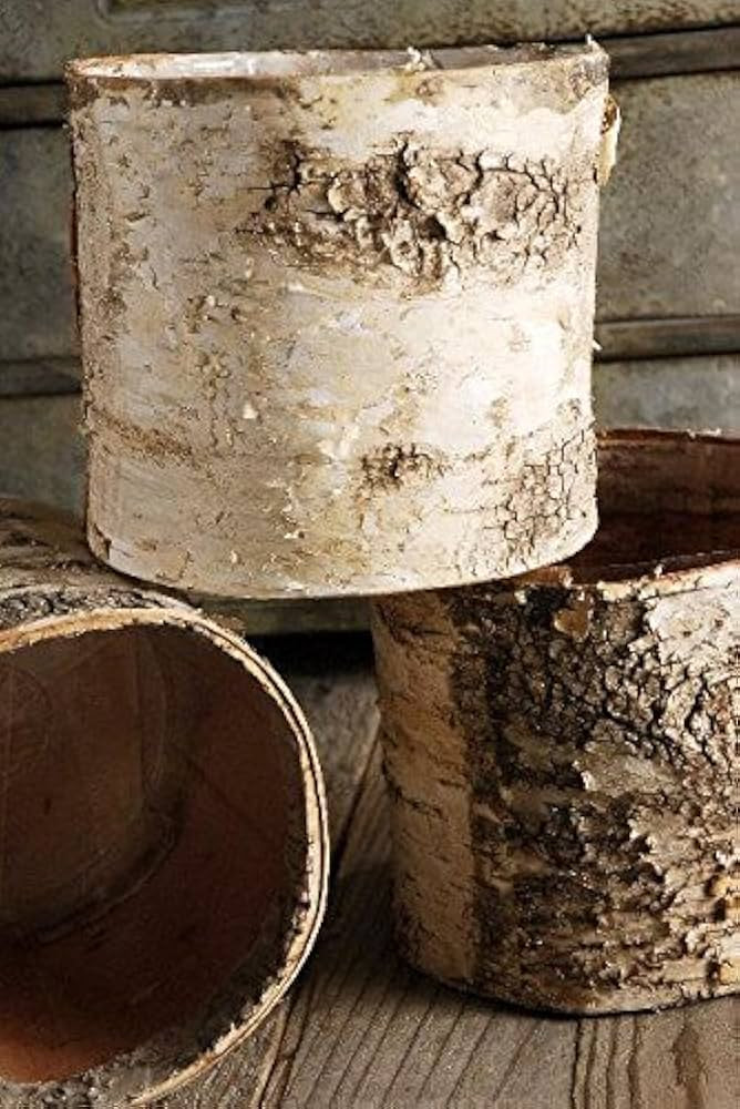 Richland Birch Bark Covered 6" Planters Pot | Amazon (US)