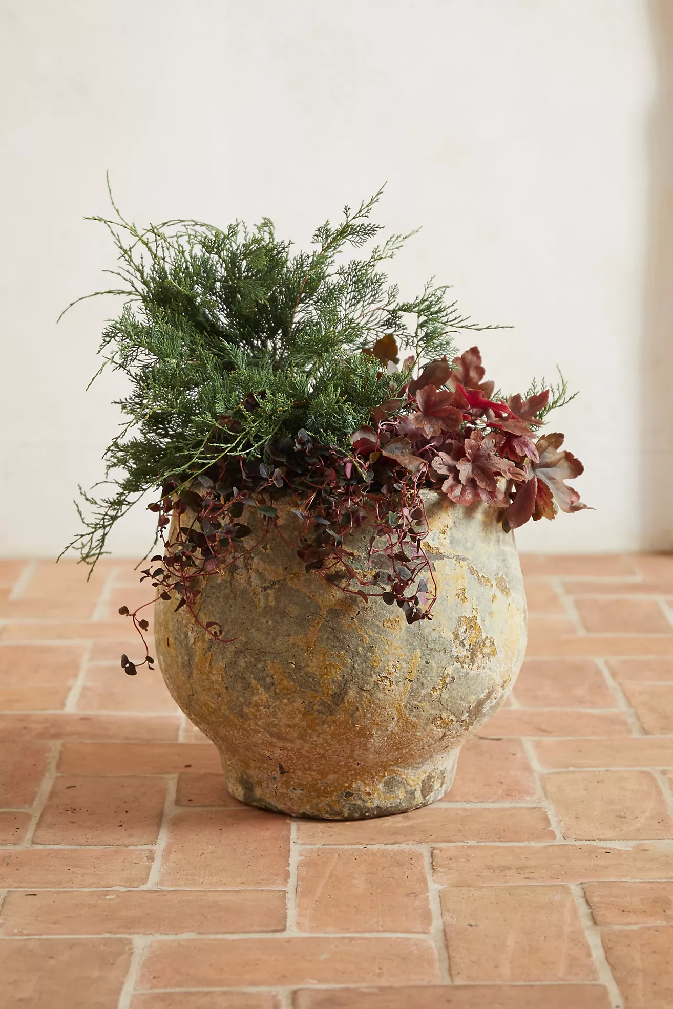 Barnacle Footed Pot | Terrain