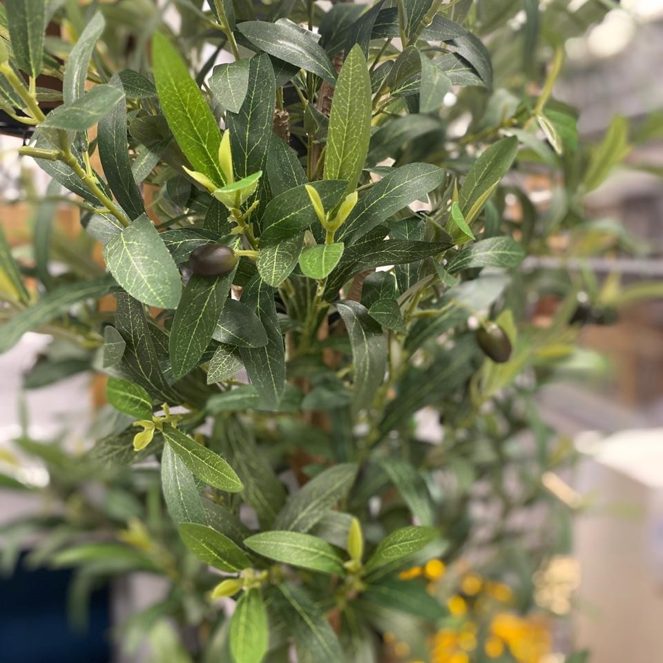 Elevate your space with a modern minimalist touch.
Simple tips
Choose the correct size  by height.
Pick the perfect pot or planter.
Keep your furniture layout visually.
While it requires low maintenance than regular plants, care to maintain it’s beauty.

Save this for later
🌿 Indoor plant care: .
.
.
.
.
.
.
.
.

#myhomesense  #homegoodsshopping  #hgfinder  #fauxplants  #homesensefinds