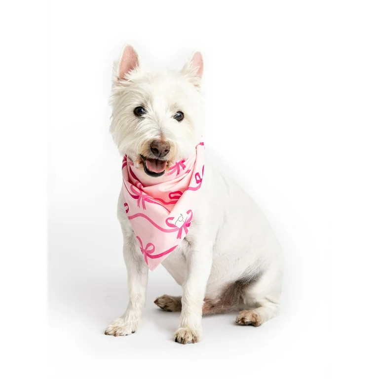 Paris Hilton x Monica + Andy Organic Cotton Pet Bandana - Walmart.com | Walmart (US)