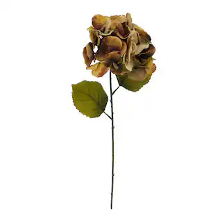 Brown Hydrangea Stem by Ashland® | Michaels | Michaels Stores