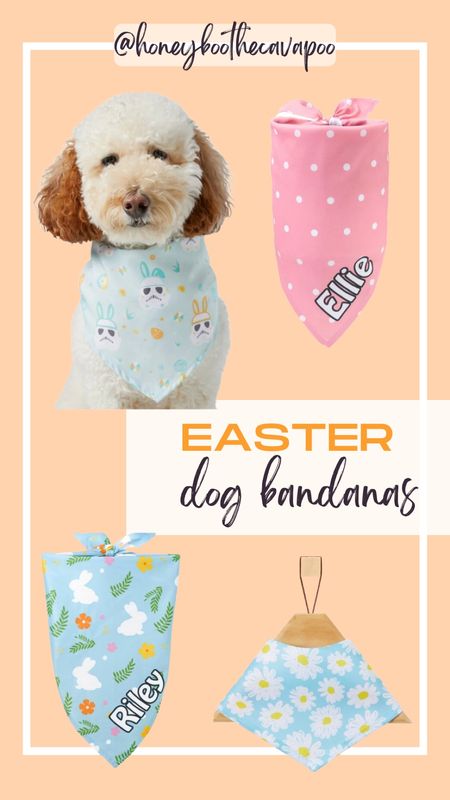 Cutest Easter/ spring time bandanas for your cute pup 🐶

#ltkdog #ltkpet

#LTKGiftGuide #LTKfamily #LTKSeasonal