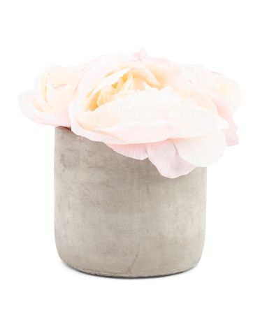 Roses In Cement Vase | TJ Maxx