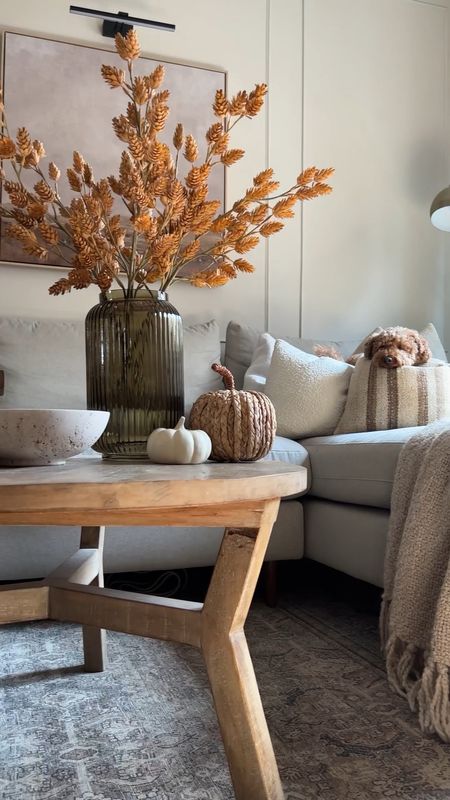 Summer is (sadly) almost over so I started prepping my house for fall with some woven pumpkins and fall stems - I love a little bit of early fall home decor! 

#LTKSeasonal #LTKFind #LTKhome