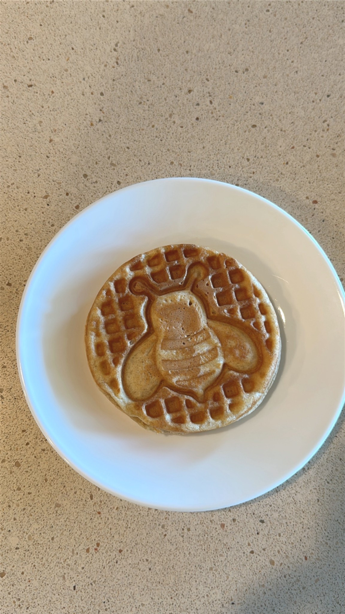 Bumblebee waffles for breakfast! 🐝🧡
#dash #waffles #wafflemaker #bees #bumblebees #spring #summer #fun #kids #homeschool #homeschoollife 

#LTKKids #LTKFamily #LTKHome