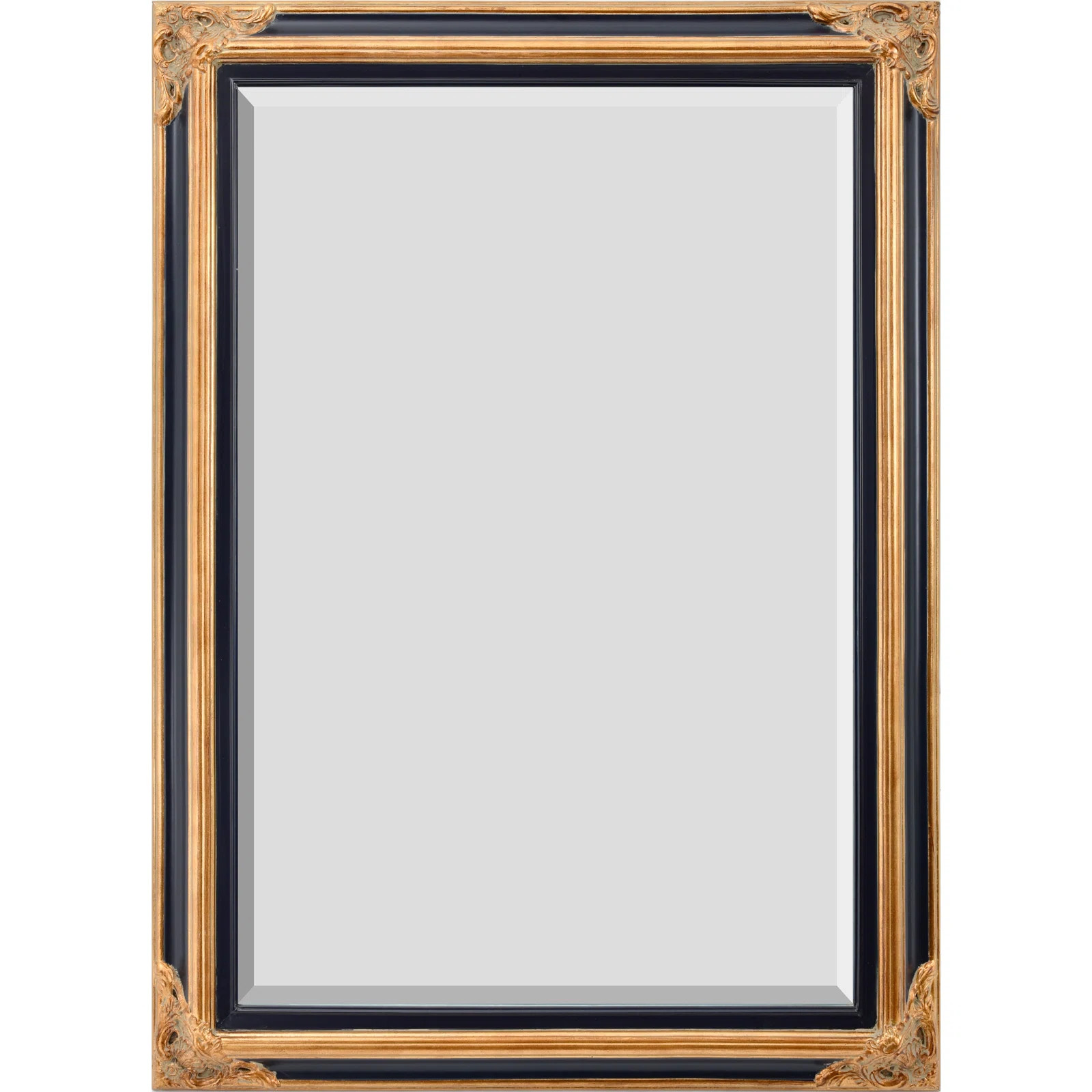 David-Paul Solid Wood Rectangle Wall Mirror | Wayfair North America