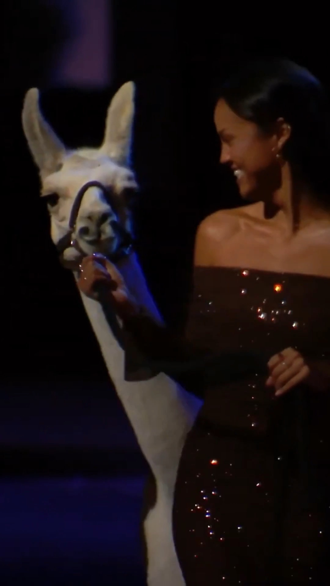 The best moments from Linda the Llama - Bachelor Nation’s newest star! 🦙 Also, shop Alexe’s stunning dress from night one in the mansion.#LTKWatchNow

#LTKStyleTip #LTKSeasonal