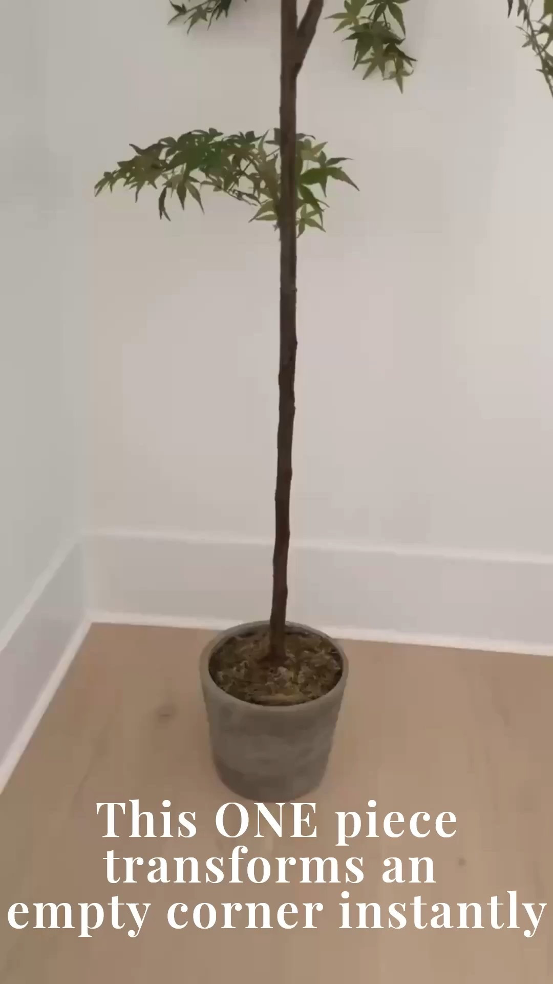 🌿 This is how you make an empty corner come alive! Adding a simple statement tree brings warmth, texture, and timeless Modern Classic charm to your home. Whether you’re refreshing a living room, entryway, or bedroom—this design trick always works ✨

#porcheandco #homedecor #interiordesign #modernclassicstyle #cornerdecor #neutraldecor #timelesstouches #homedesigninspo #onlinedesign #virtualdesign

Do you want to bring our dreamy Modern Classic style interior design into your own home? 🏡 You’re in luck! Reserve our Online Interior Design packages today -> https://porcheandco.com/edesign ✨ We can’t wait to work with you & design your home with #porcheandco


#LTKvlog #LTKdayinmylife #LTKHome