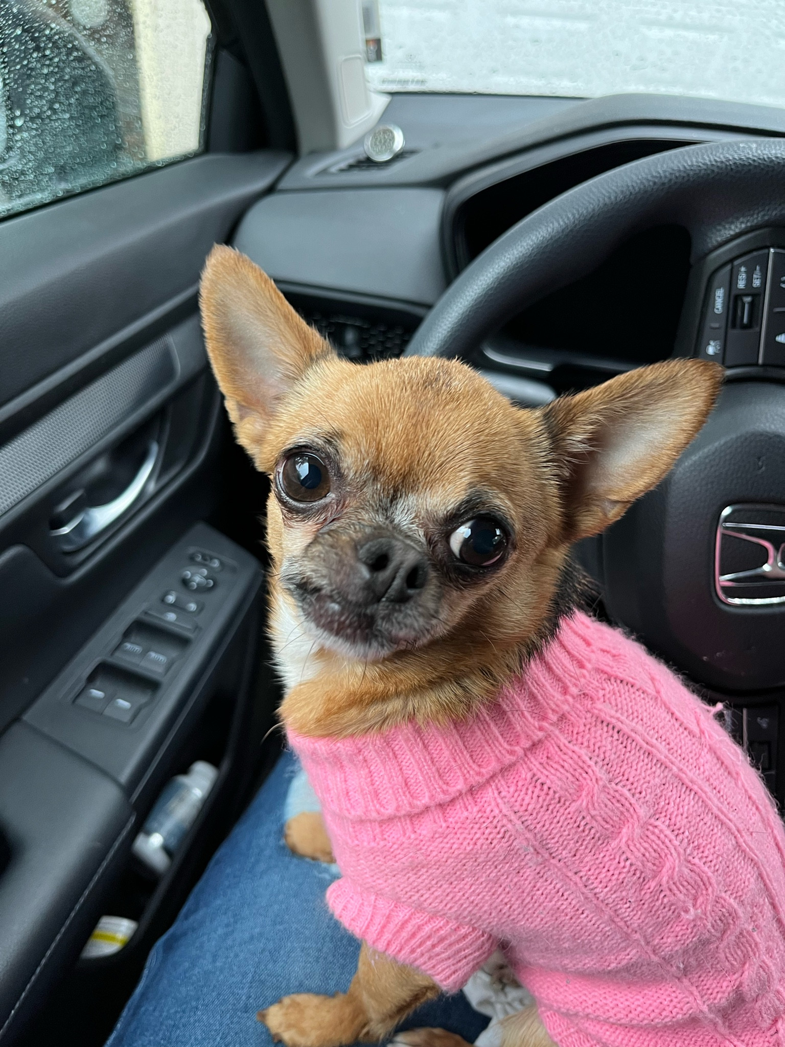 #LTKFallSale #LTKSeasonal #LTKFindsUnder50