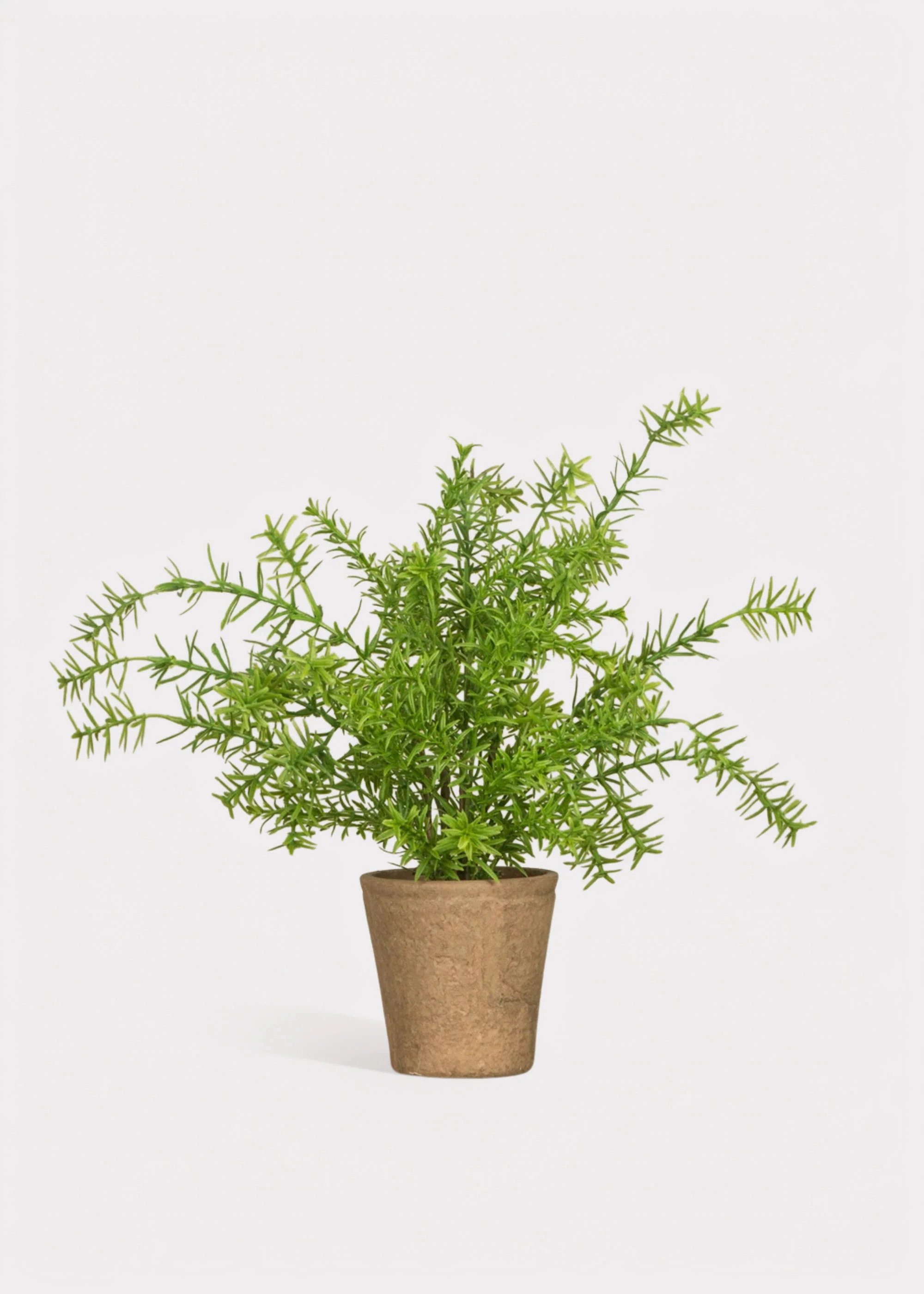 Artificial Potted Rosemary Herb Plant - 16 | Afloral