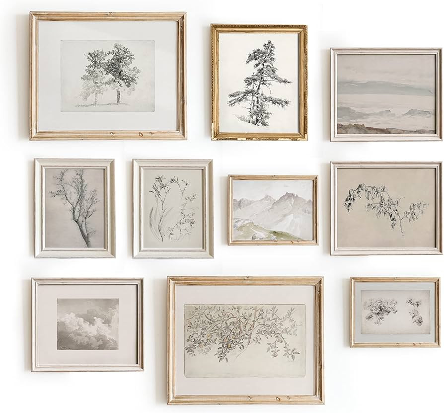 Set 10 Sketch Poster French Country Farmhouse Decor - French Botanical Art Prints, Vintage Wall A... | Amazon (US)