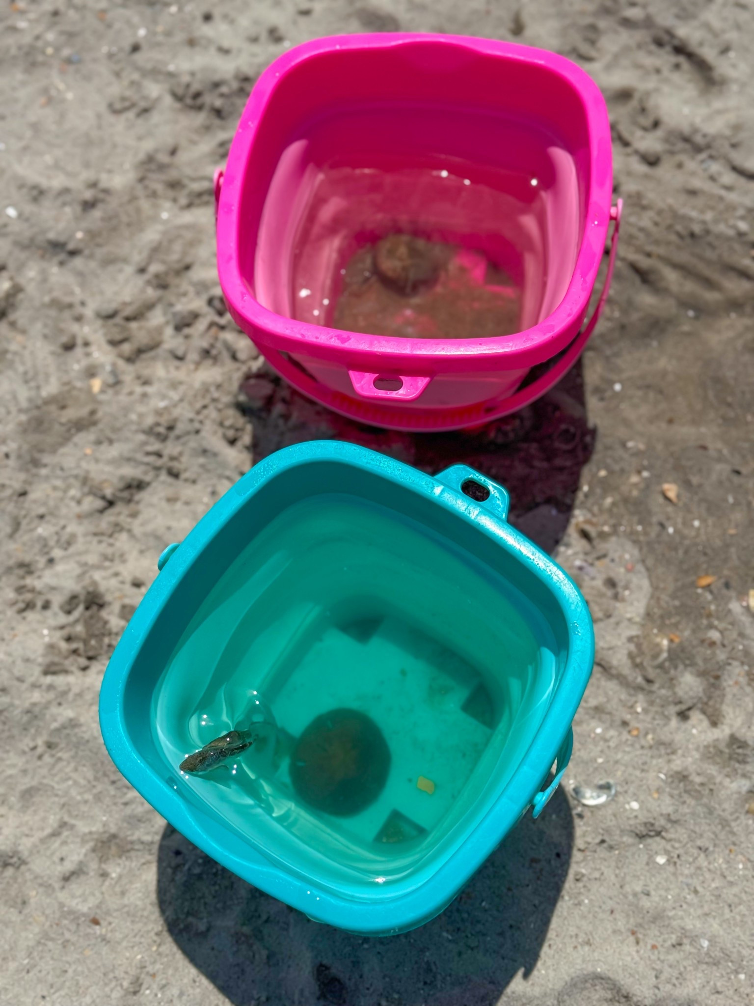 Kids favorite beach toys! 

#LTKKids #LTKSummerEdit #LTKSeasonal