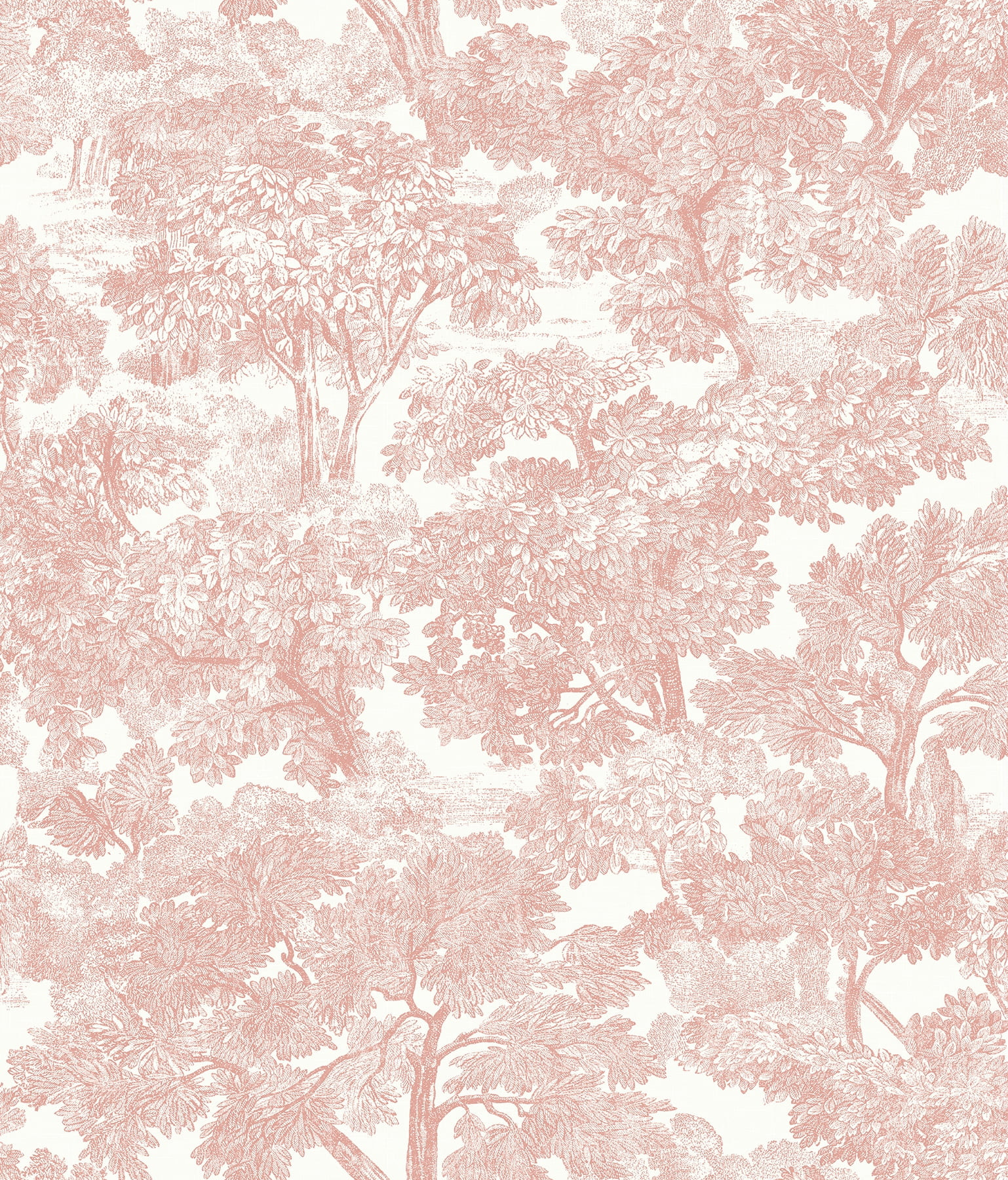 Chesapeake Spinney Rose Toile Wallpaper | Walmart (US)