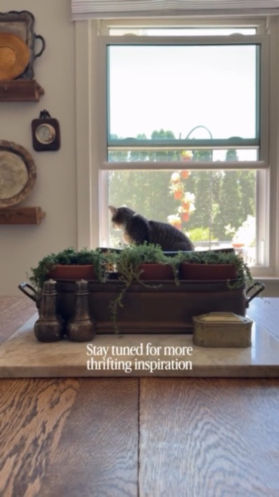 Guess what I paid for this vintage brass planter??

👇🏻

$7.99!

$15 for plants, $12 for terra cotta pots (bc I couldn’t find thrifted ones in the right size) along with a few other secondhand treasures…and now I have the French summer cottage centerpiece of my dreams!

Our cat, Cooper, is into everything so I made sure I found a low profile whispy plant that was safe just in case he decides to be naughty. I found pink chintz creeping thyme, and while it’s not culinary, it’s gorgeous in our kitchen!

Make sure you’re following for more secondhand vintage thrifting inspiration for a European cottage style home on a budget!

#lowesfinds