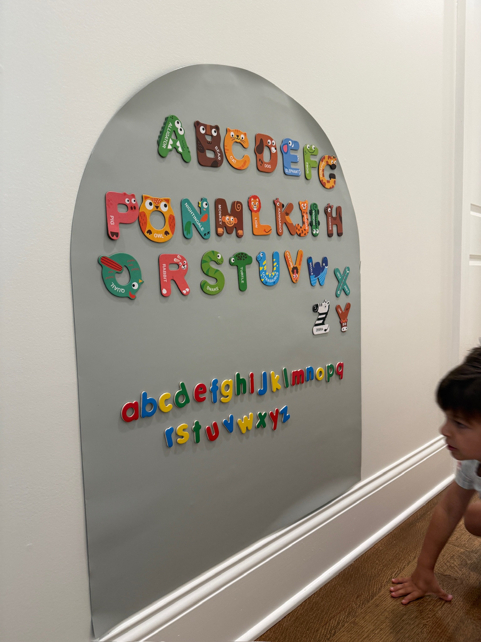 Making learning FUN!

Amazon, alphabet, kids alphabet, learning tools, learning skills, kids education, educational toys, Grace white

#LTKKids #LTKBaby #LTKmomlife